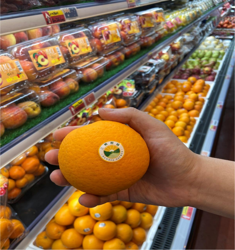 1717465456840465.png 圖片27.png